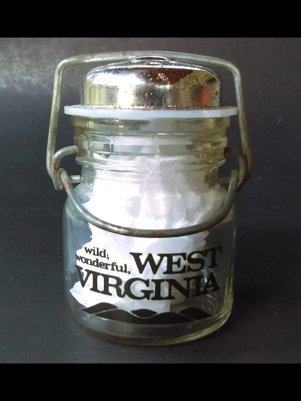 Mini Wire Bale-Top Jar Shaker Metal Top with Painted Cardinal West Virginia